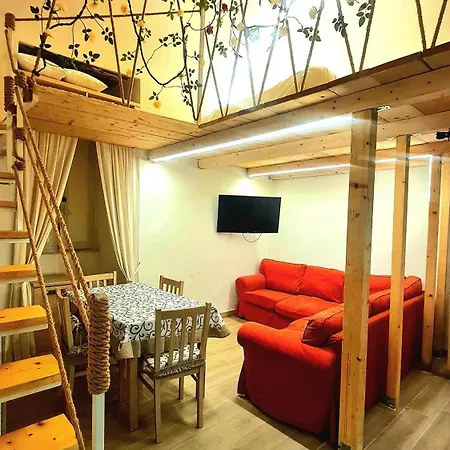 Domus N5 *