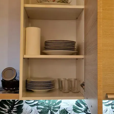 Apartment Domus N5